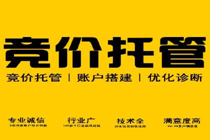 案例解析：揭秘高效竞价推广技巧